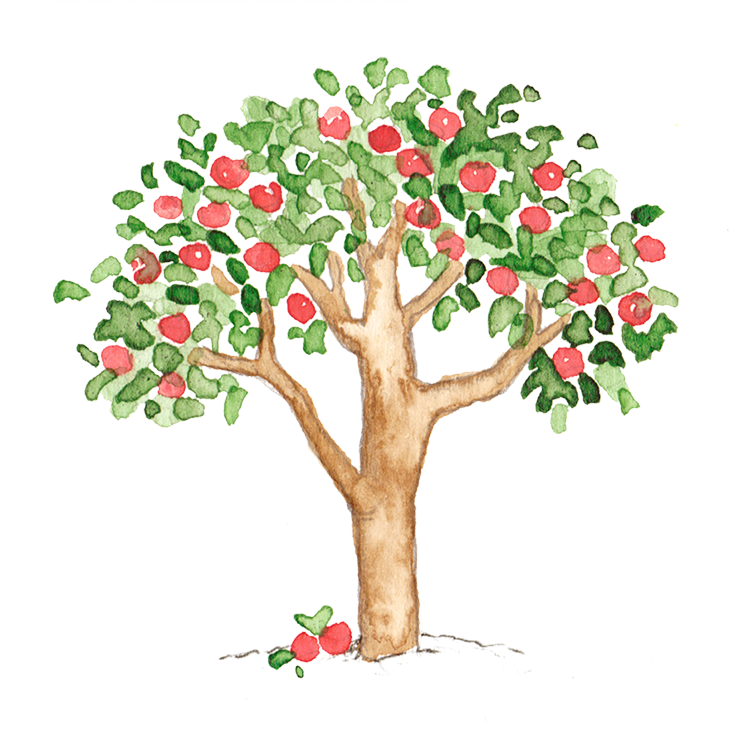 Become A Founder - United States Of America (734x737)