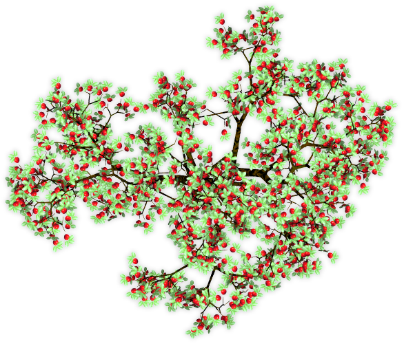 You Can Never Have Enough Vines - Floral Design (586x503)