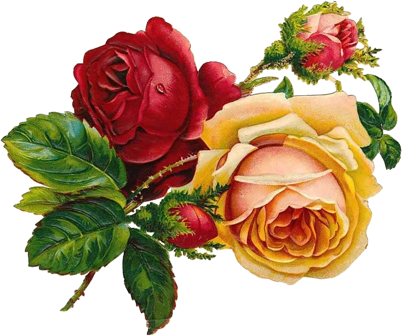 Neste Blog Você Poderá Encontrar Lindas Imagens No - Vintage Rose Art (1024x768)
