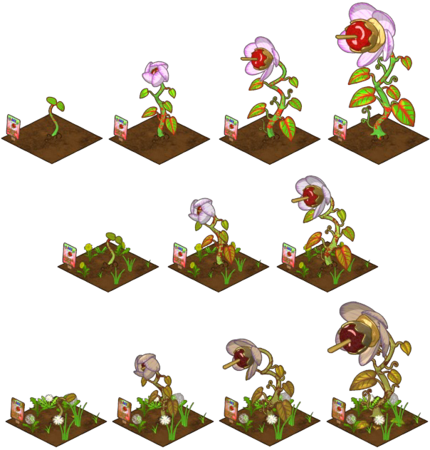 Apple - Watermelon Plant Growing Stages (604x631)