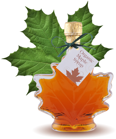 100% Pure Organic Maple Syrup Large Maple Leaf Bottle - Bulk Maple Syrup For Sale (500x500)