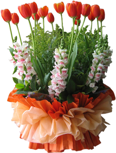 Garden Roses Tulip Flower Bouquet - Garden Roses Tulip Flower Bouquet (500x500)