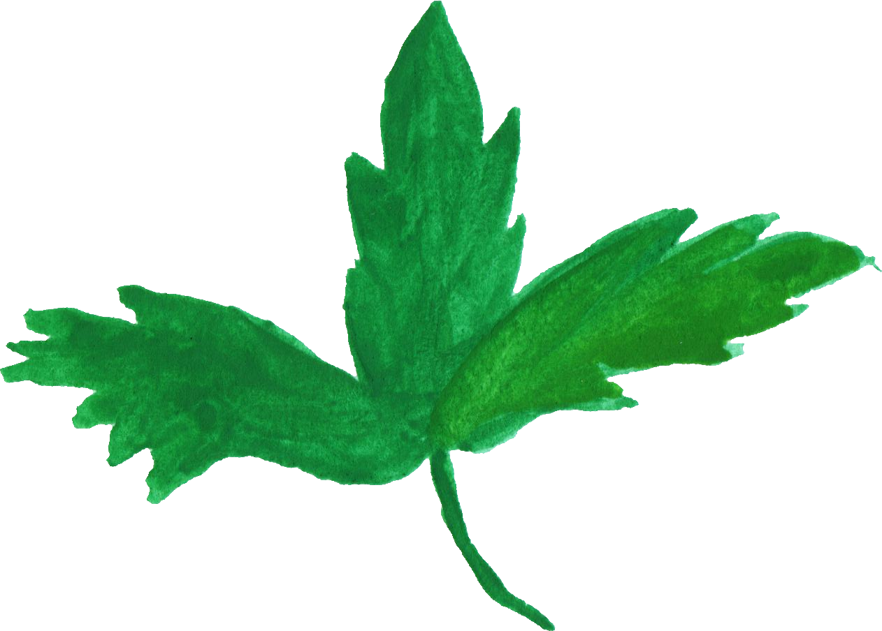 Free Download - Portable Network Graphics (1262x904)