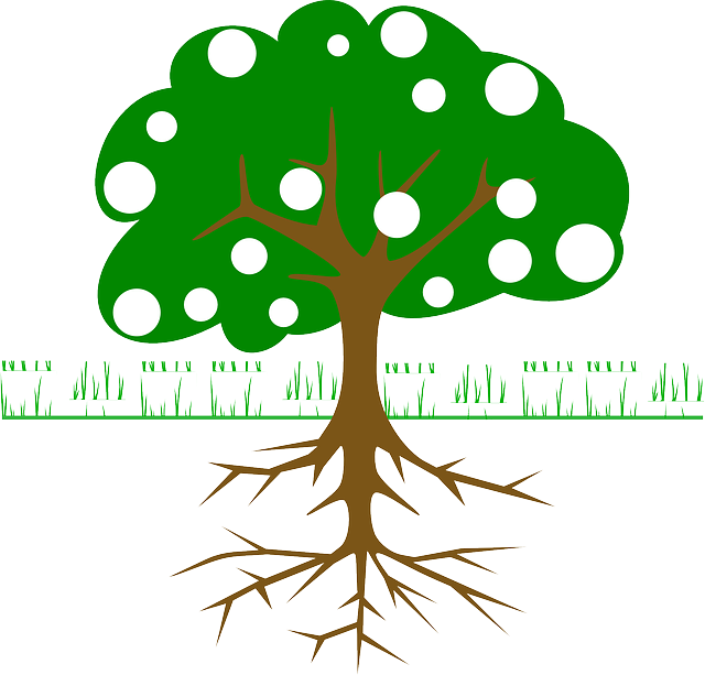 Lo Primero Que Debes Hacer Es Elaborar Dos Listas - Arbol Con 5 Raices (640x613)