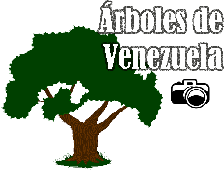 La Sociedad Amigos Del Árbol Realizará Su Primer Evento - Harwood Park Primary School (900x600)