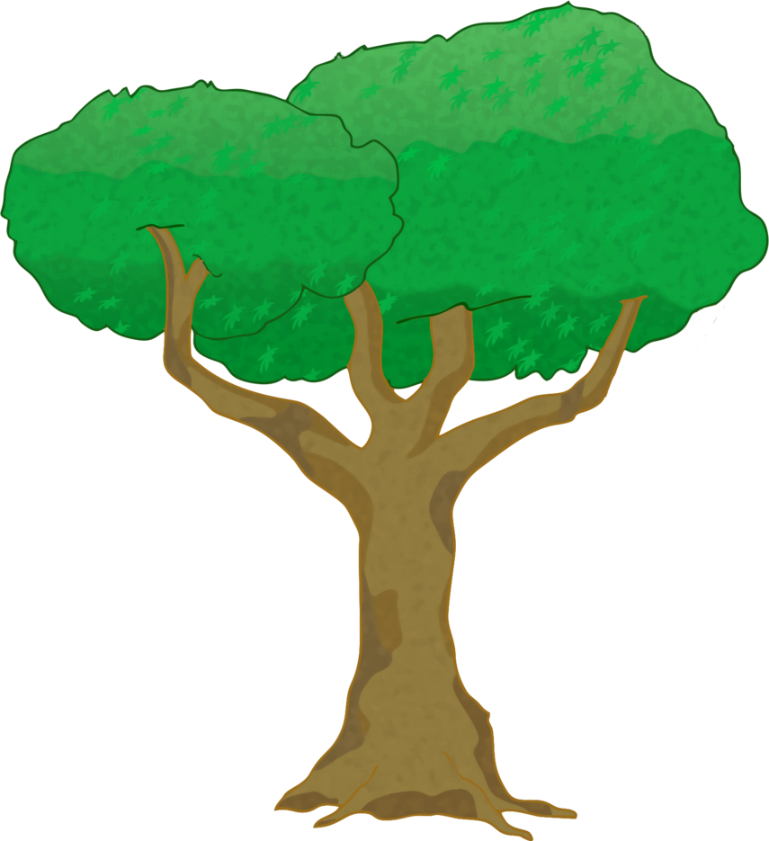 Arboles Animados Png Intento De Arbol Xd By - Arboles En Corel Draw (855x935)