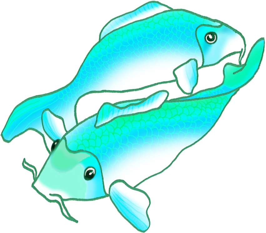 Two Blue Green Koi Fish - Two Blue Green Koi Fish (886x854)