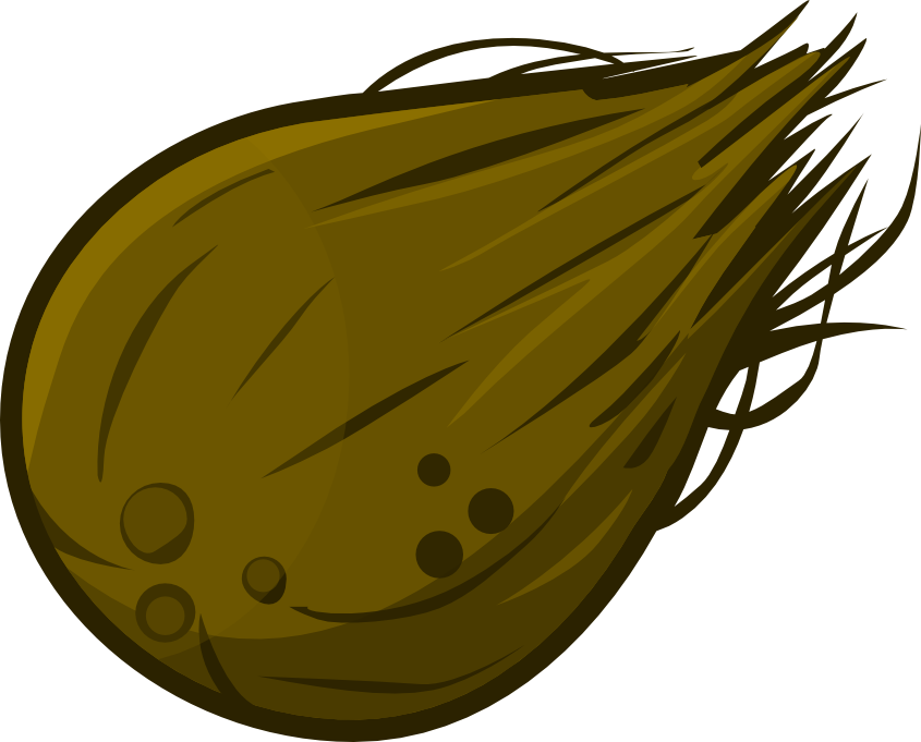 Coconut Clipart Cute - American Larch (845x681)