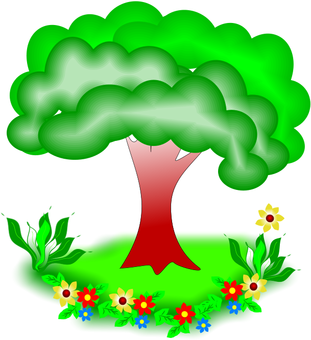 Naturaleza Mediateca Canaima Imagen De Un Arbol - Flores Y Arboles Caricatura (609x666)