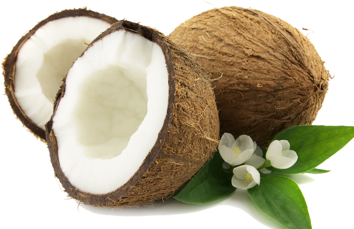 Coconut Png Png Image - Coconut Png (1200x798)
