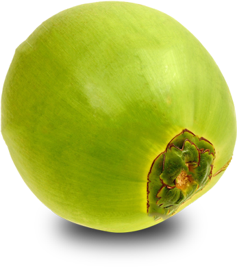 Green Coconut Clipart Green Coconut Fruit Png 362x400 Png Clipart Download