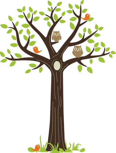 Color De Su Pared - Arbol Con Buho Dibujo (374x493)