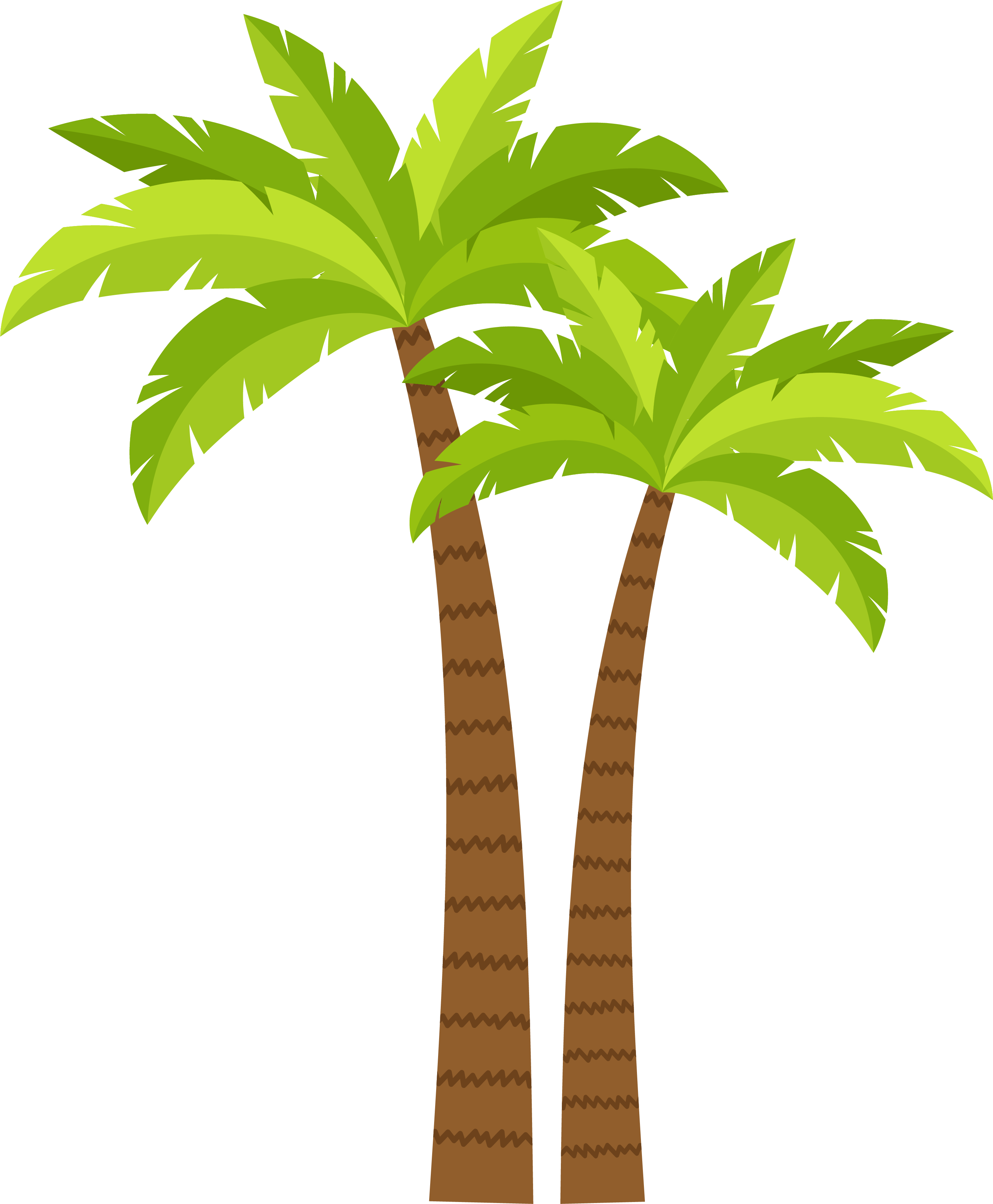 Arecaceae Coconut Tree - Coqueiro Clipart (3001x3638)