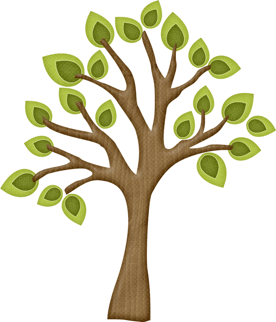 -estaciones Del Año - Tree With Branches Clipart (900x1051)