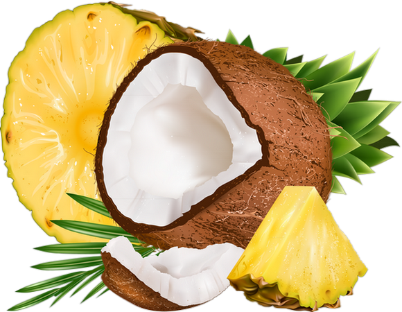 Ananas Noix De Coco (580x450)