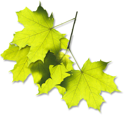Chateau - Leaf (421x384)