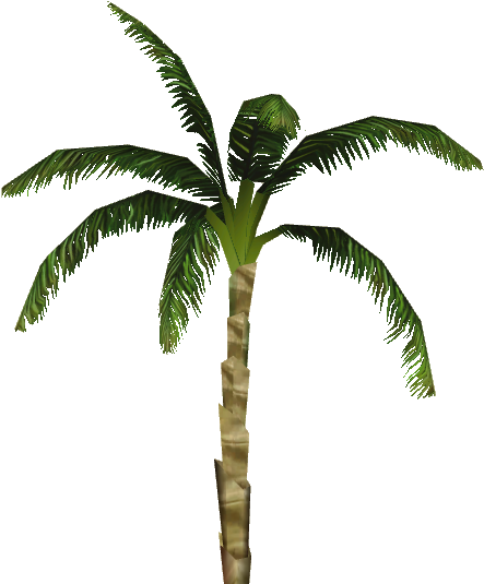 Dwarf Coconut Palm - Attalea Speciosa (534x534)