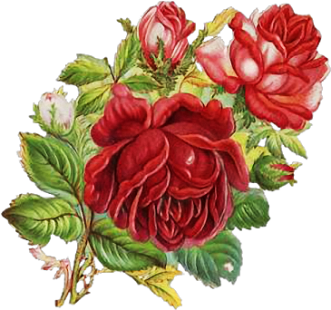 Image Result For Винтажные Цветы На Прозрачном Фоне - Винтажные Цветы На Прозрачном Фоне (407x360)