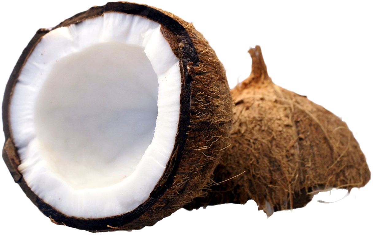Coconut Cut In Half Png Image - Coconut Cut In Half (1256x814)
