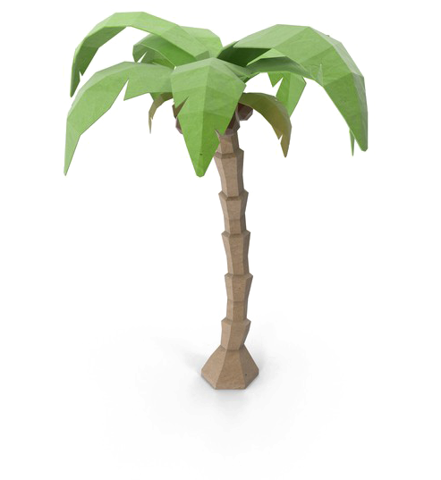 Coconut Tree Download Png Image - White Walnut (600x600)