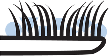 A Brush Head Every 3 Months Like Quip So When Your - A Brush Head Every 3 Months Like Quip So When Your (380x380)