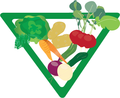 The Following Vector Graphics Were Created To Represent - Design Studio (387x316)