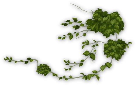 83 Free Vector Graphics Of Greenery - Assassin Vines (513x340)
