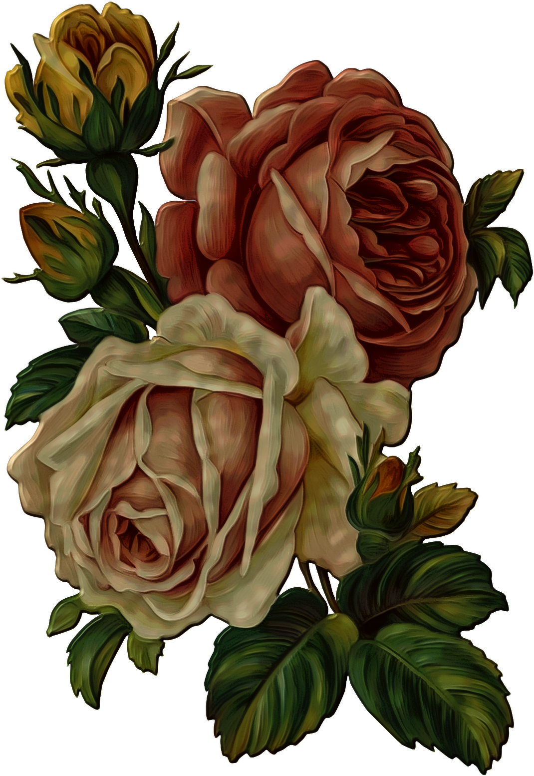Vine Flower - Flowers Illustration Png (1115x1600)