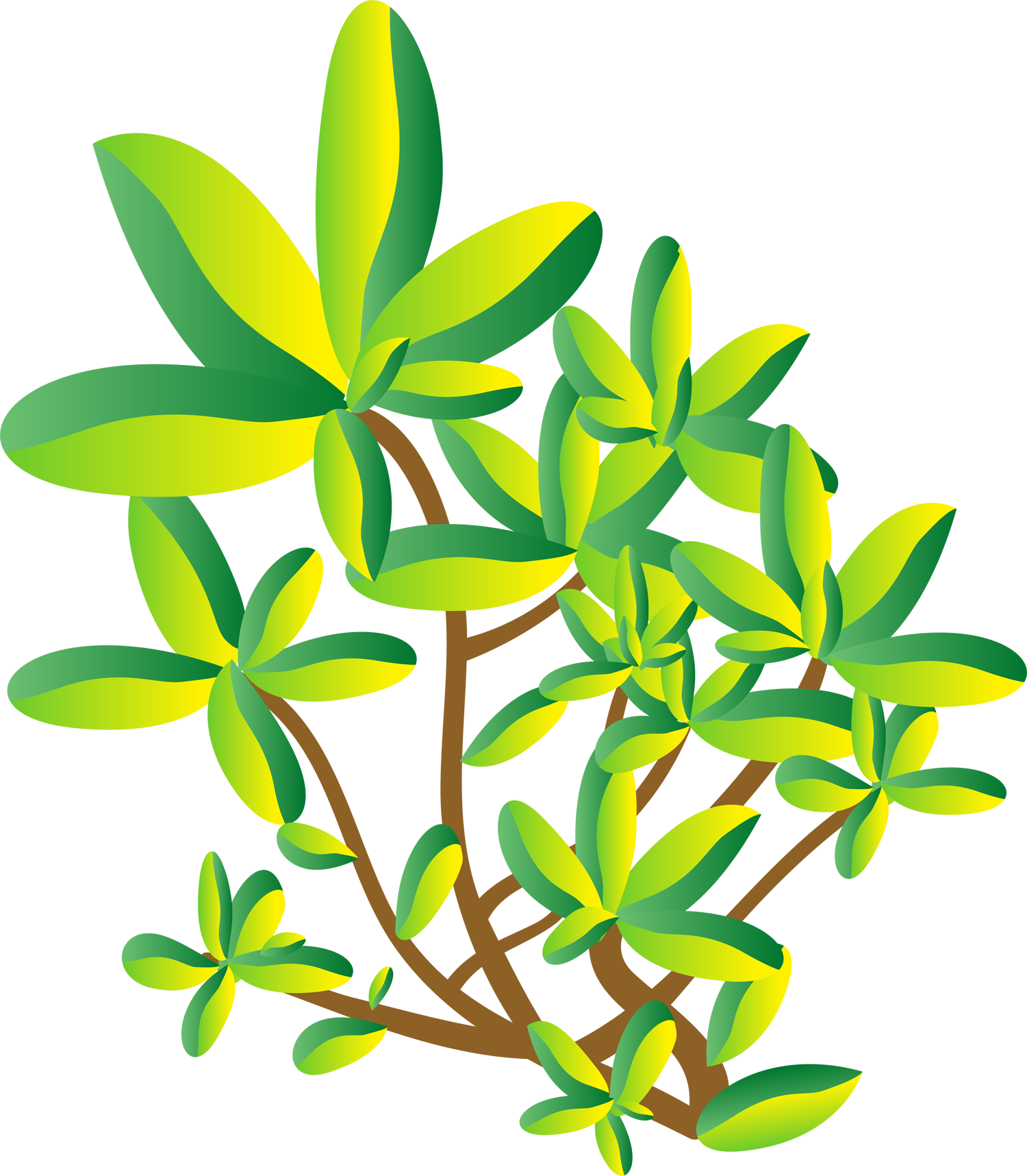 Examples Of A Closed System In Science (1500x1717)