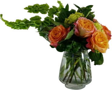 The Hamptons - The Hamptons (400x400)