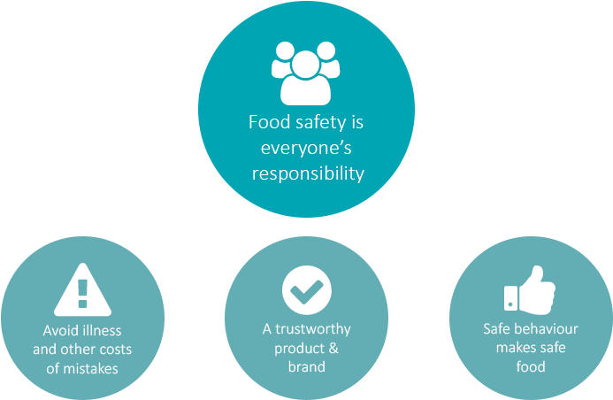 Food Safety Is Everyone's Responsibility - Food Safety (703x462)