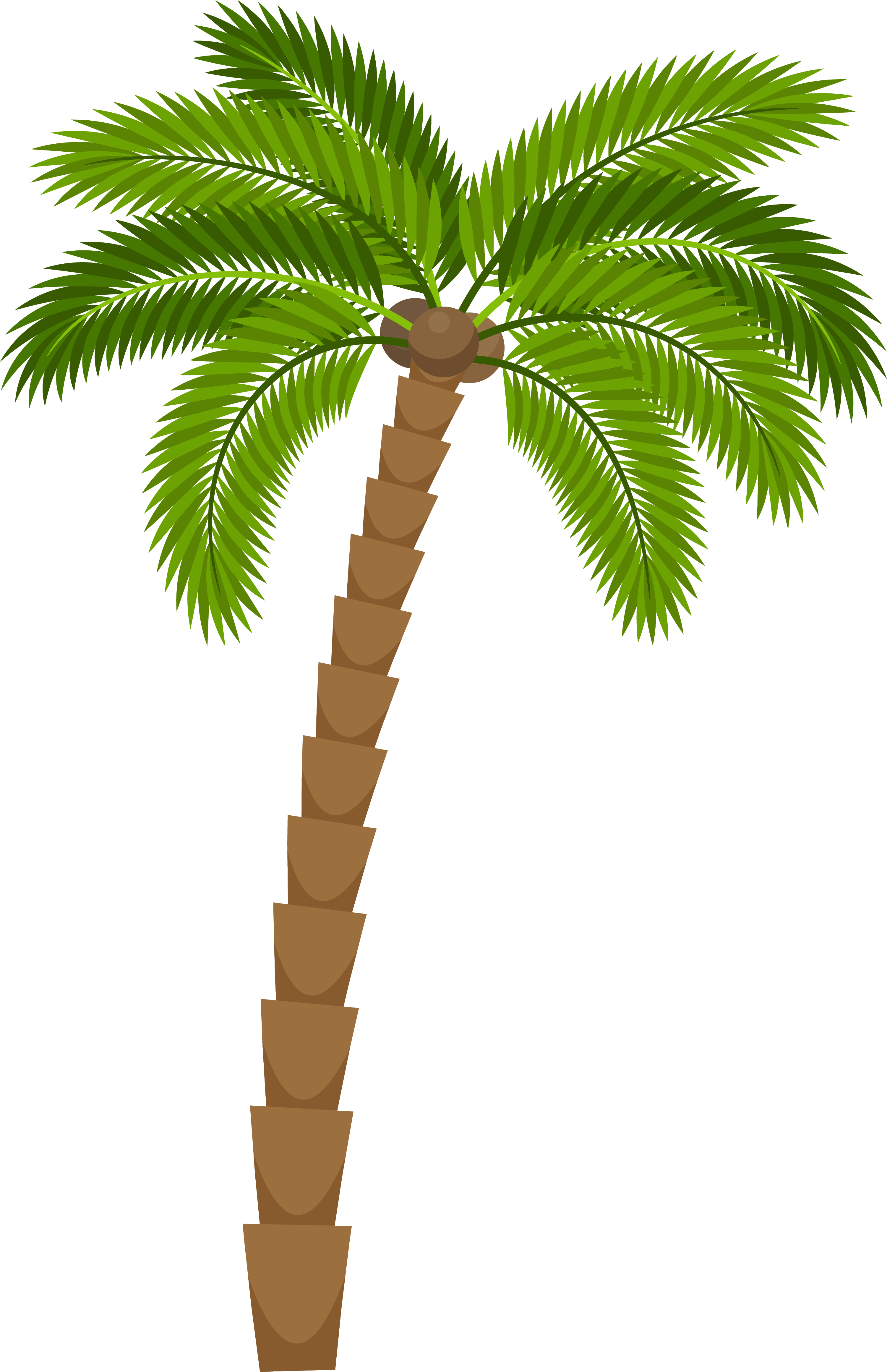 Drawing Silhouette Royalty-free Illustration - Coconut Tree For Drawing Png (3001x4641)