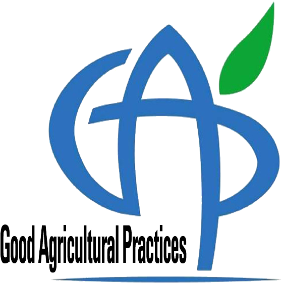 Shahjalal University Of Science And Technology (591x580)