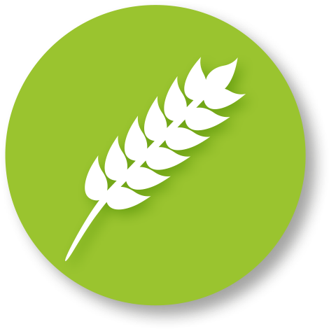 Food Icon - Gluten Symbol (591x591)