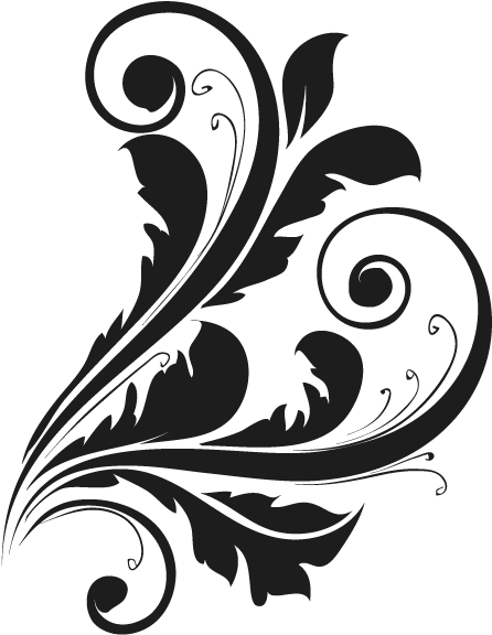 Vector Floral Ornaments Png (842x593)