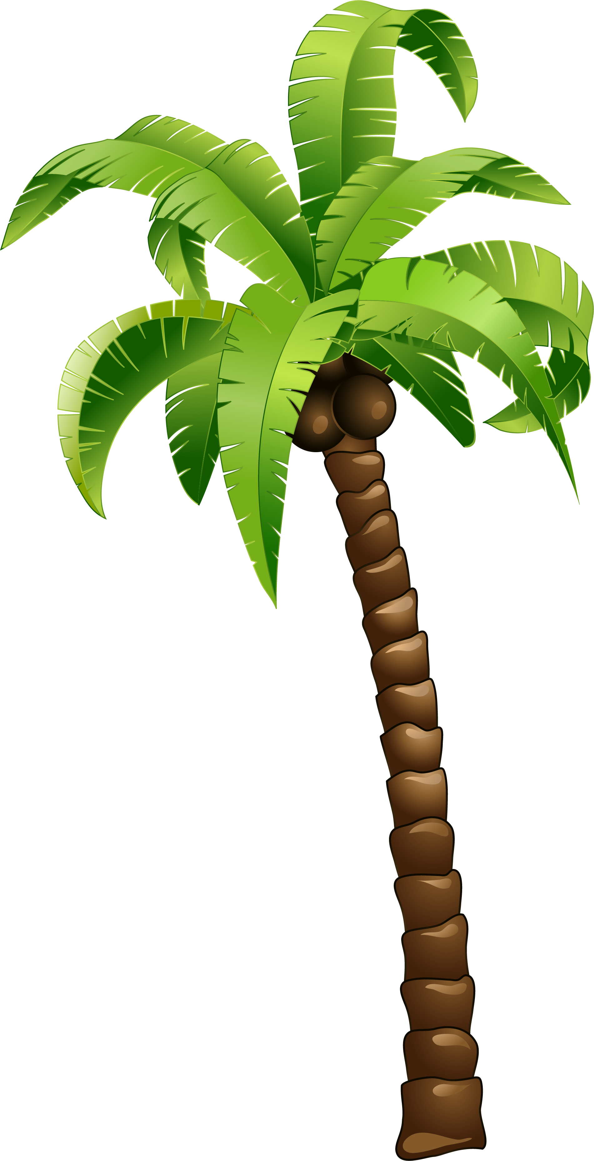 Cartoon Green Coconut Tree - Cartoon Palm Tree Png (1901x3718)