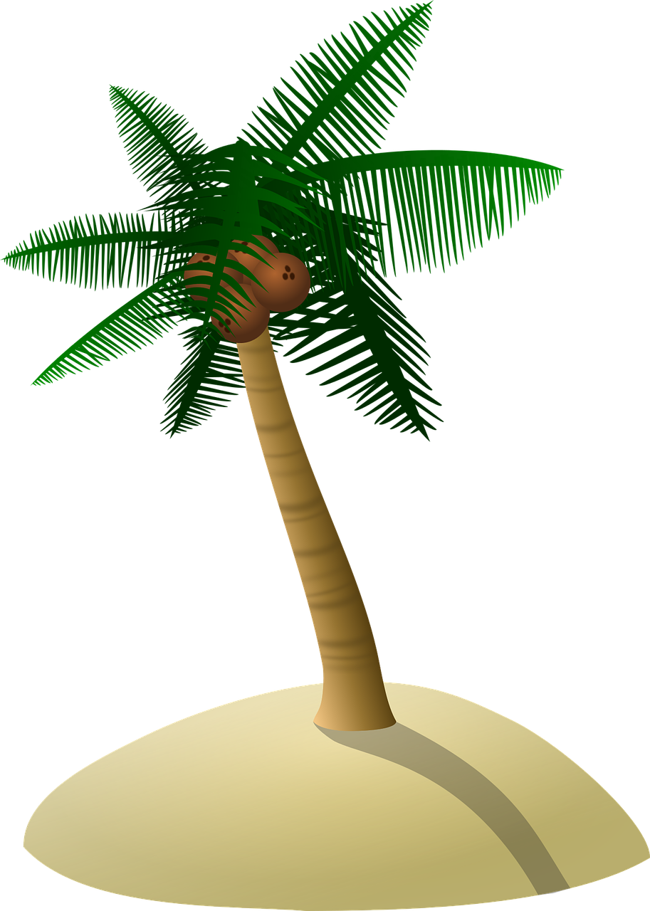 Coconut Tree Palm Tree Dune Tree Png Image - Gambar Pohon Kelapa Kartun (913x1280)