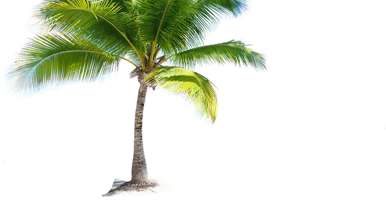 Resort Icon Png Download - Kizomba Afro Latino Cd (1265x669)