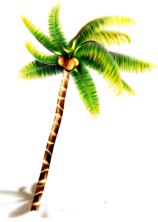 Download Png - Download Png (543x763)
