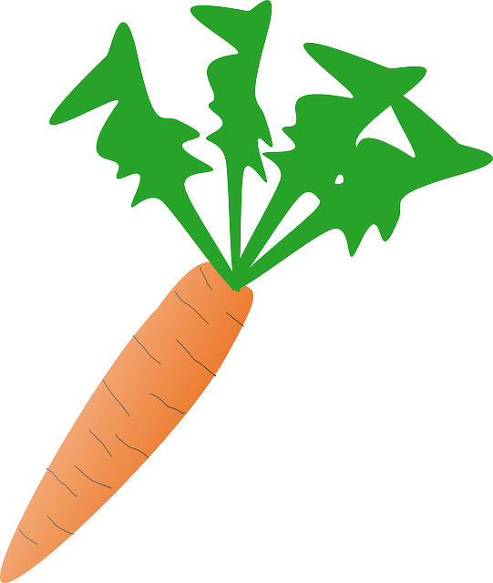 Food, Cartoon, Free, Salad, Plant, Carrot, Vegetable - Carrot Clip Art (541x640)