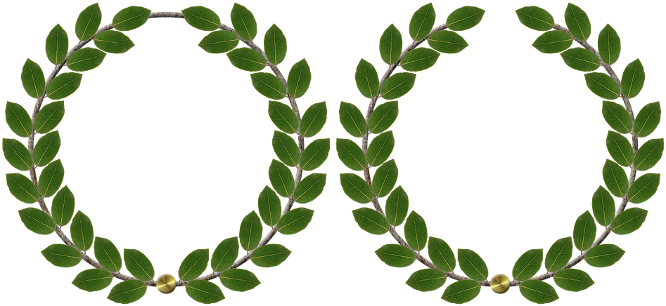 25 Wedding Anniversary Cliparts - Michigan State Greek Week (1280x642)
