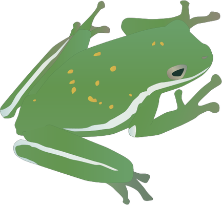 Tree Frog Svg - カエル イラスト フリー 商用 (433x400)