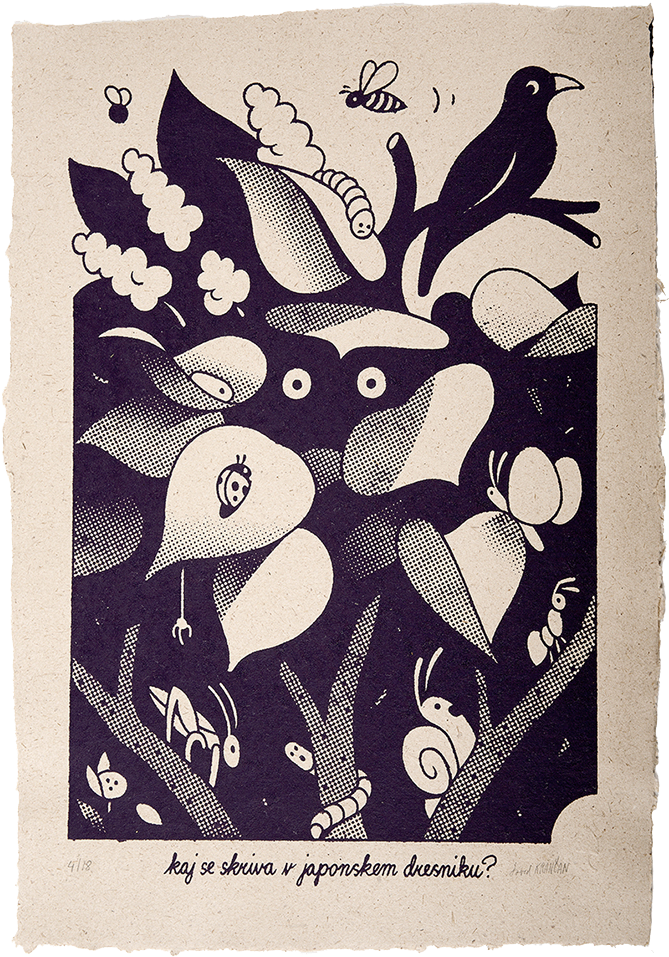 What Is Hiding In The Japanese Knotweed David Krančan, - What Is Hiding In The Japanese Knotweed David Krančan, (690x1035)