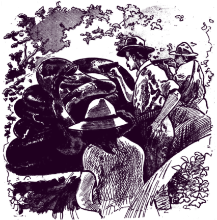 Cryptid Monster Beneath A Cloak - Cloak (425x443)