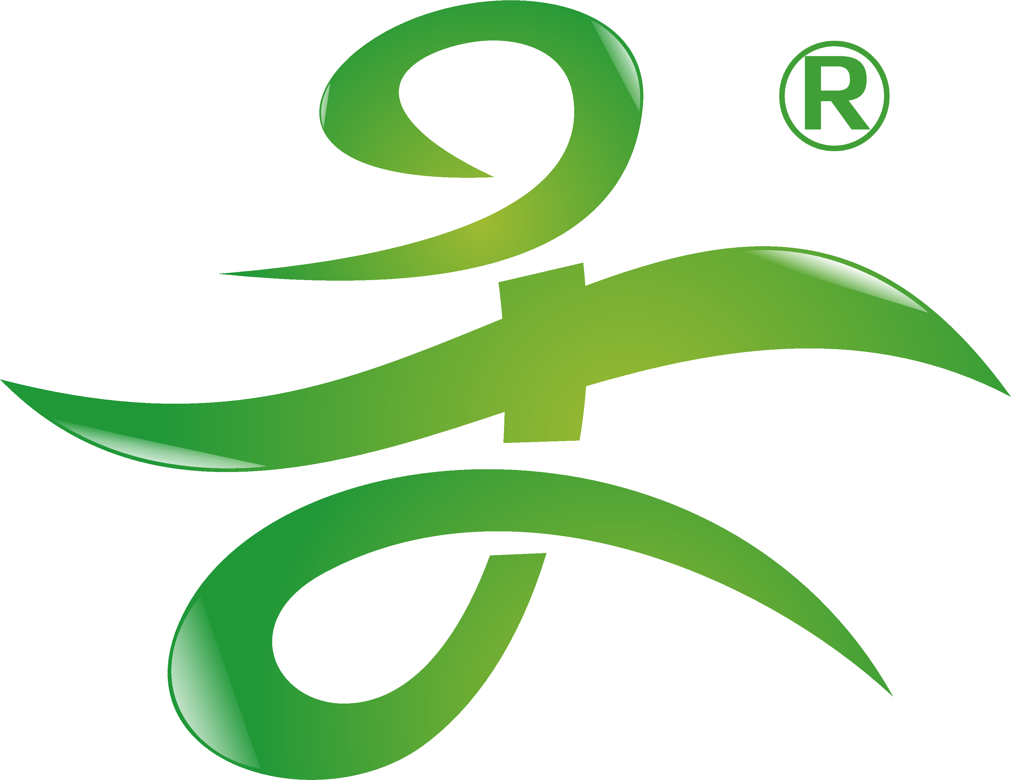 Jiangsu Skyplan Greenhouse Technology Co - Irrigation (3705x2780)