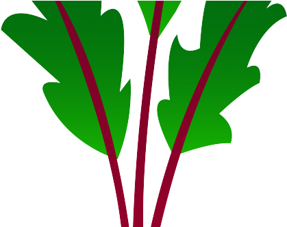 Red Garden Beet Free Clip Art - Beetroot (440x330)
