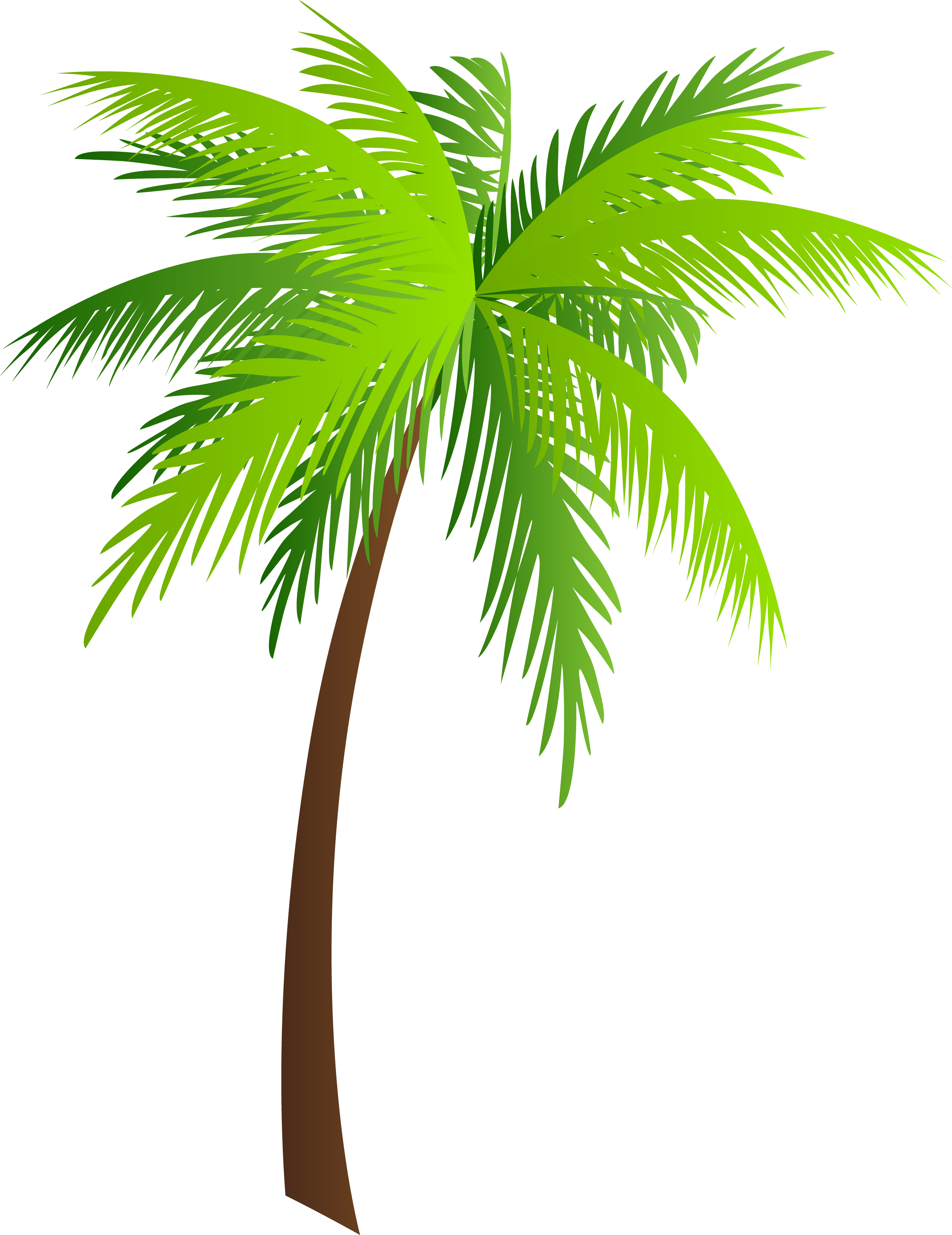 Arecaceae Coconut Ichumma's Inn Clip Art - Arecaceae Coconut Ichumma's Inn Clip Art (3857x5000)
