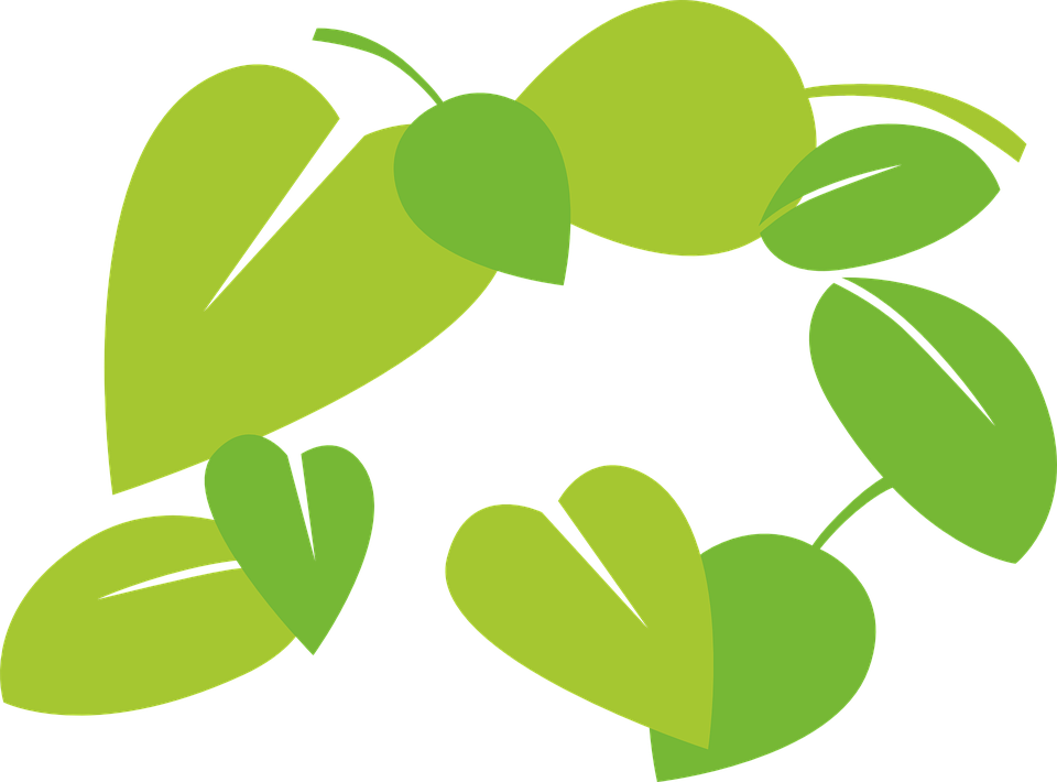 Green Flourish Cliparts 12, Buy Clip Art - ใบไม้ เวก เตอร์ (960x710)