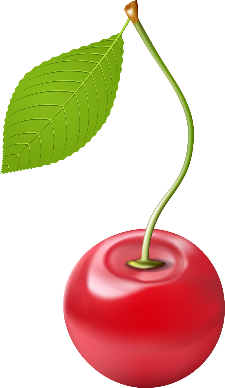 Cherry Clipart Png Image 03 - Cherry (776x1337)