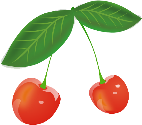 Cherry - Gambar Buah Cherry Merah (500x500)